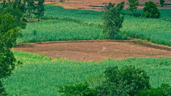https://www.salarnews.in/public/uploads/images/newsimages/maannewsimage24062026_210810_Devanahalli farm land.jpg